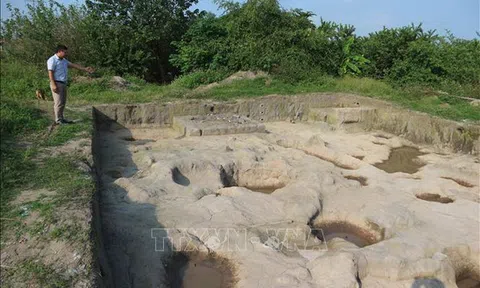 Khai quật khảo cổ tại khu vực gò Dền Rắn thuộc Di chỉ khảo cổ học Vườn Chuối